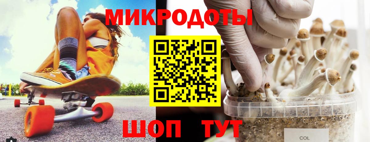 Галлюциногенные грибы Cubensis  Вход с VPN  наркота  Алатырь 